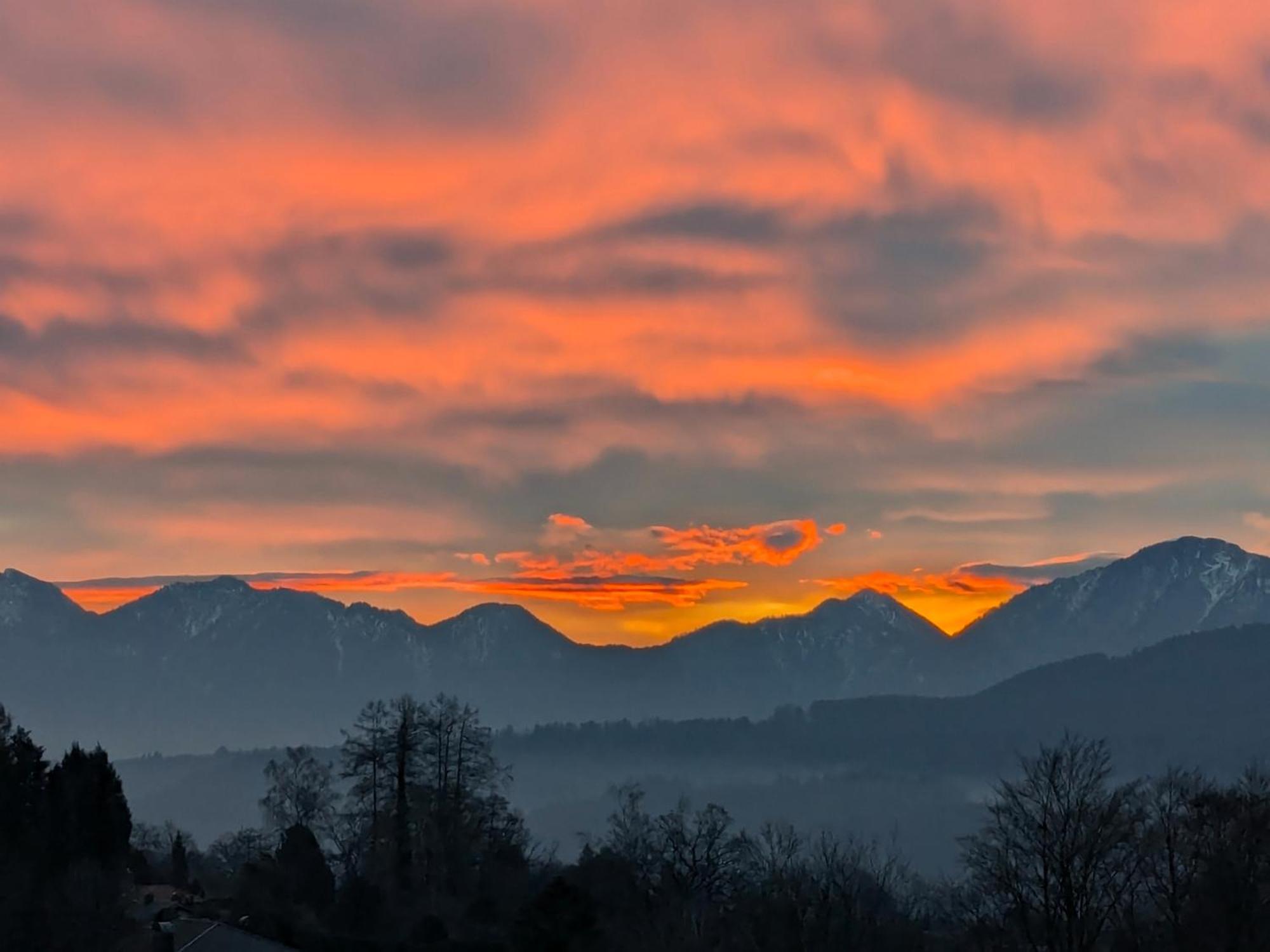 Am Eichholz Galerie & Art-Hotel Murnau am Staffelsee Zewnętrze zdjęcie